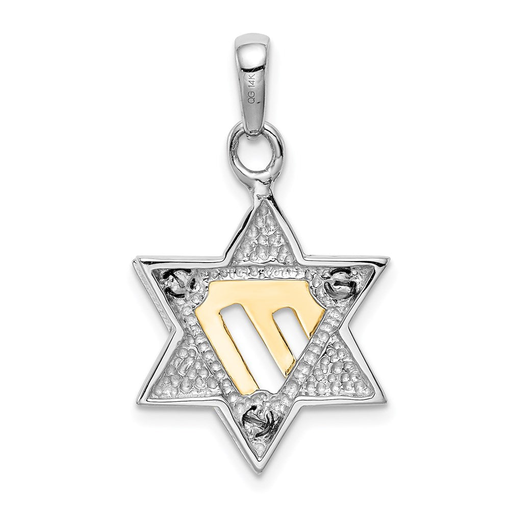 14k Two-tone Gold Star of David Pendant