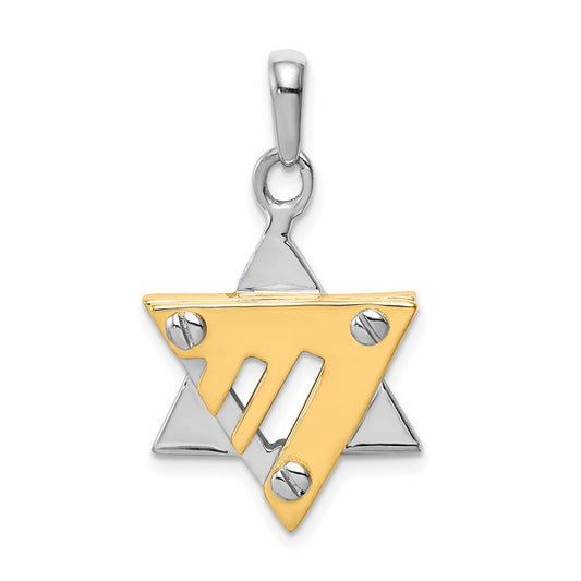 14k Two-tone Gold Star of David Pendant