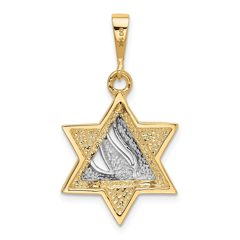 14k Two-tone Gold Star of David Pendant