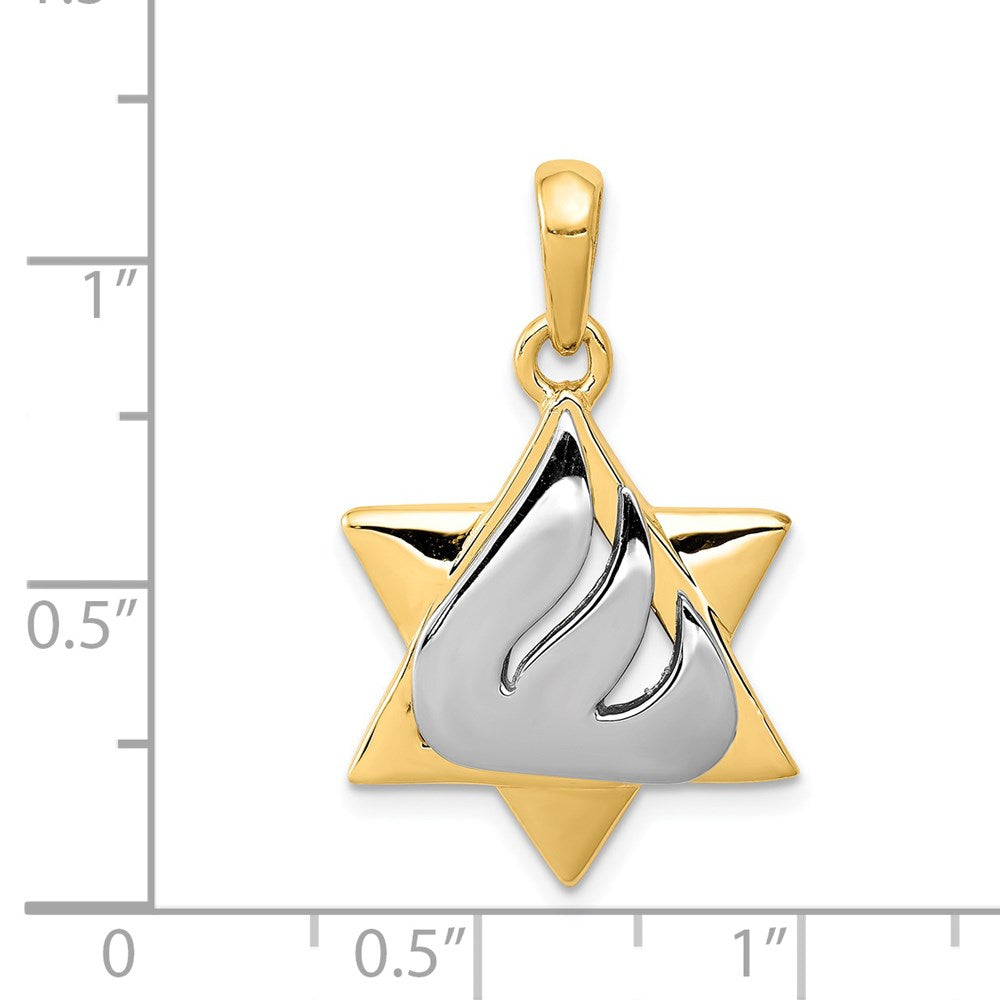 14k Two-tone Gold Star of David Pendant