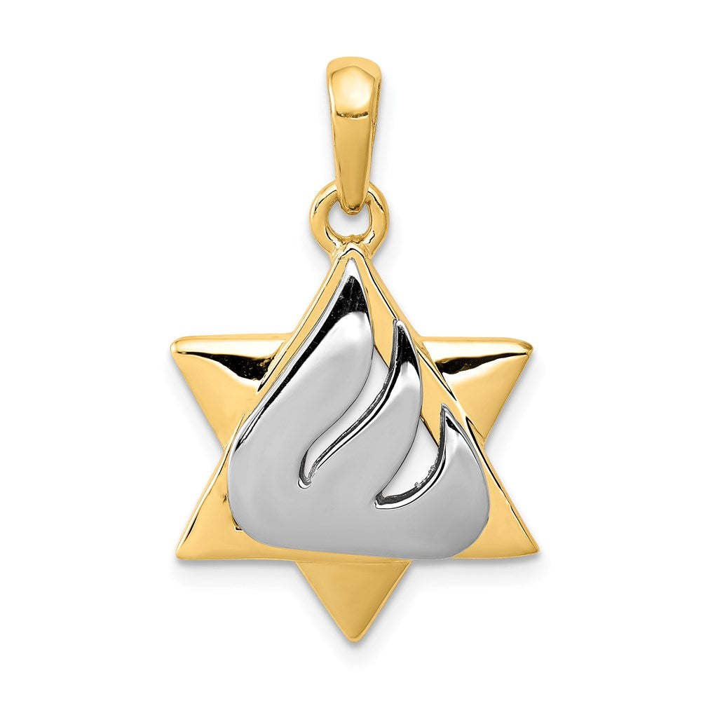 14k Two-tone Gold Star of David Pendant