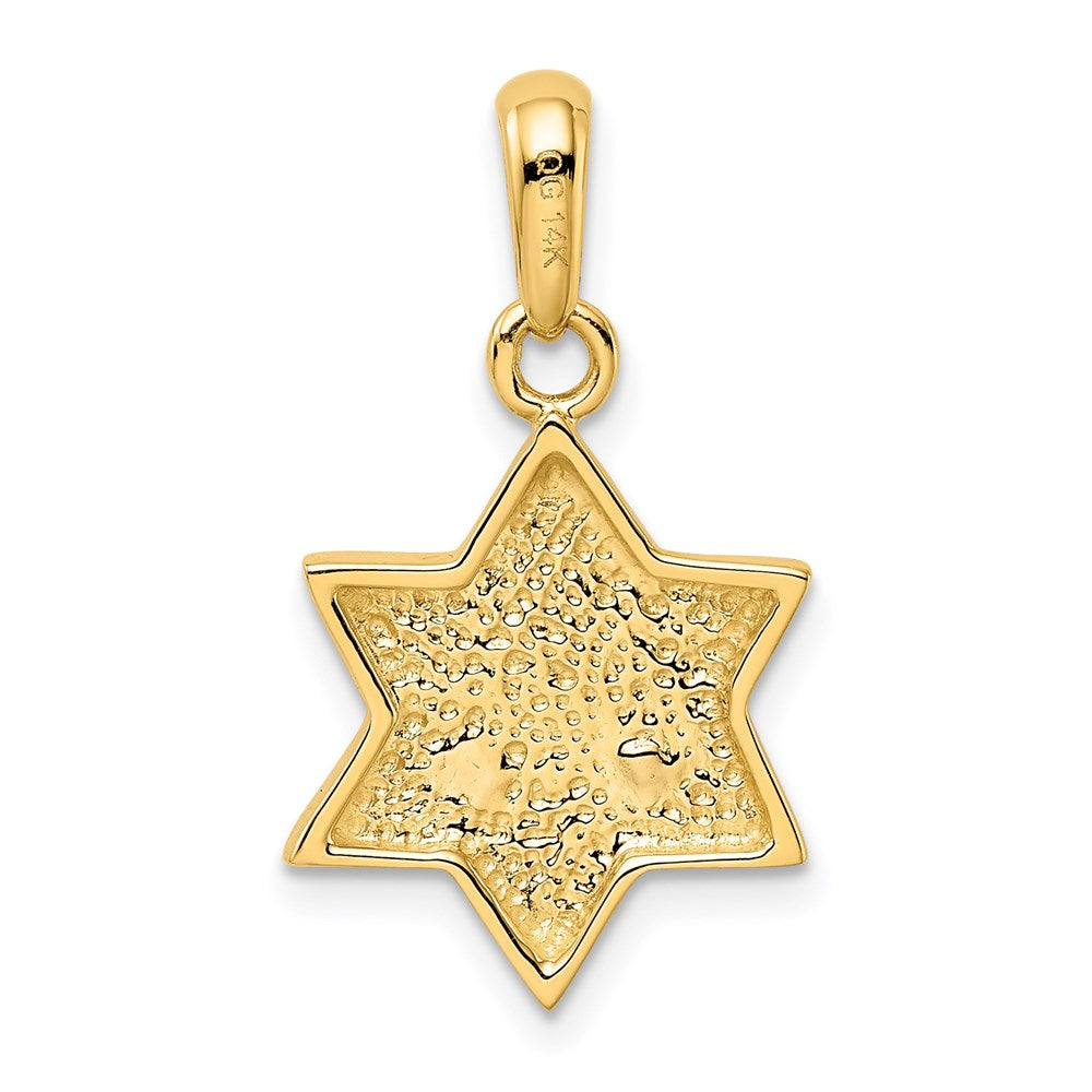 14k Two-tone Gold Chai on Star of David Pendant