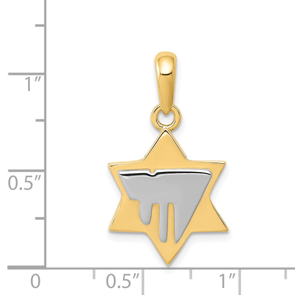 14k Two-tone Gold Chai on Star of David Pendant