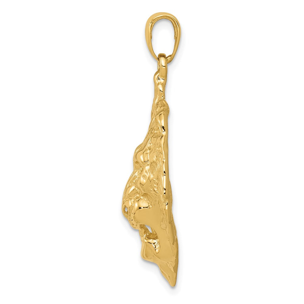 14k Yellow Gold Lion Charm