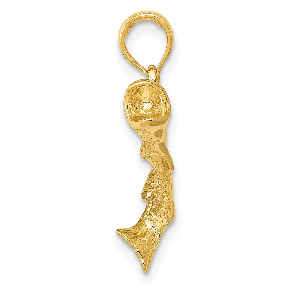 14k Yellow Gold Gold Polished Textured Bass Fish Pendant