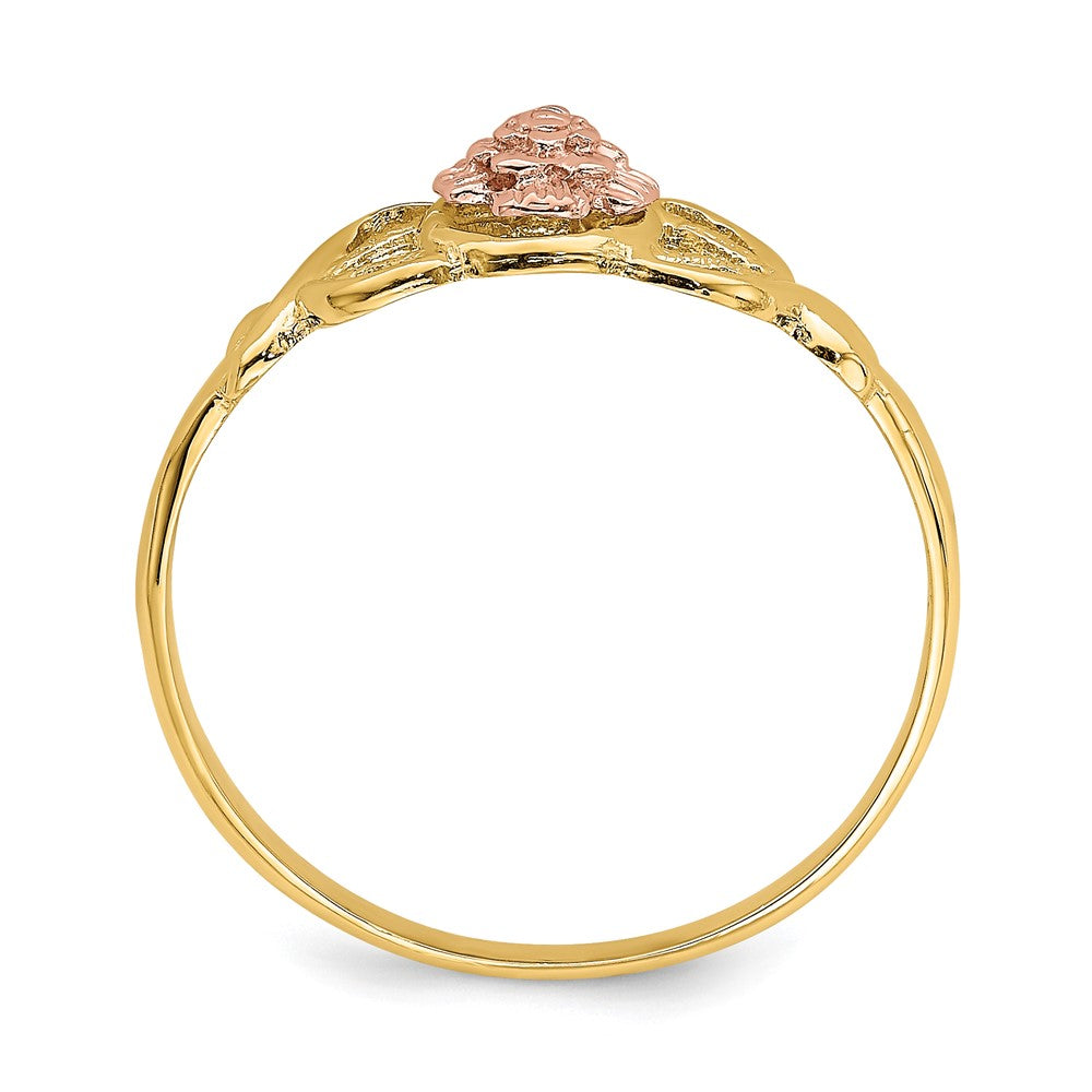 14K Two-Tone Gold Polished Ring