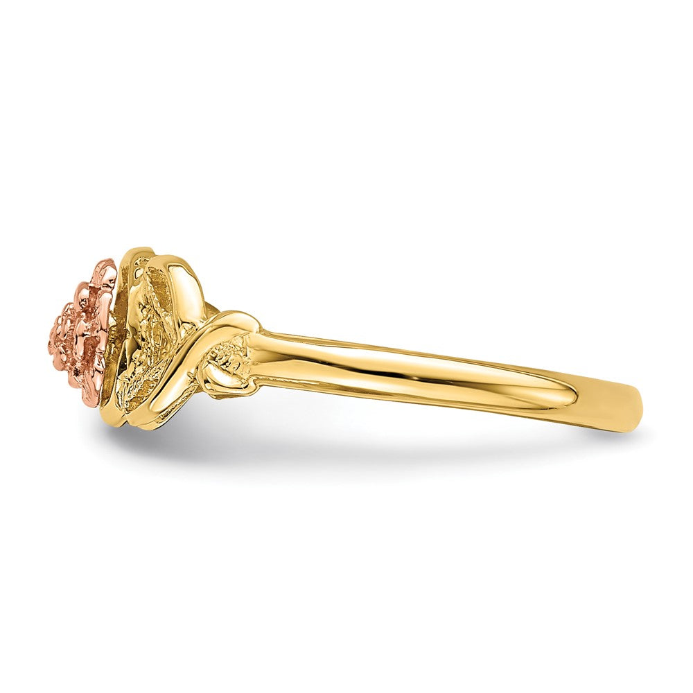 14K Two-Tone Gold Polished Ring