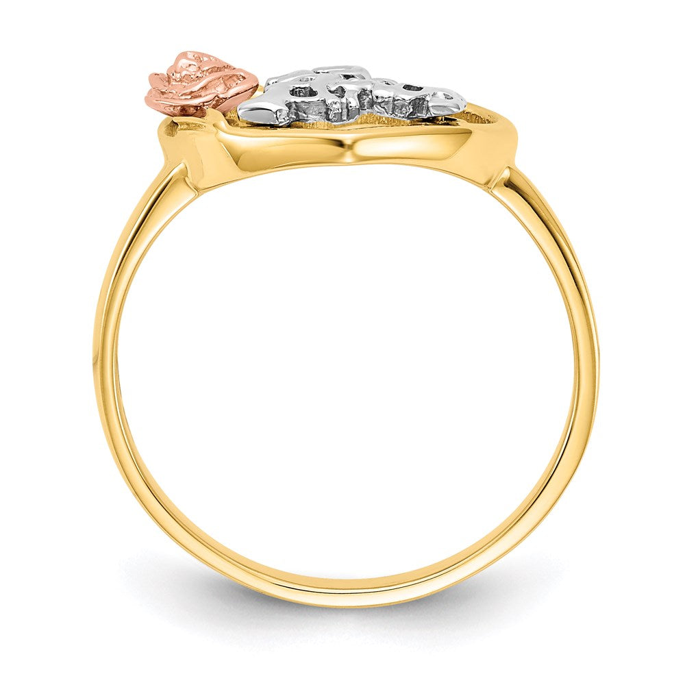 14k Two-Tone Gold & Rhodium 15 Anos Ring