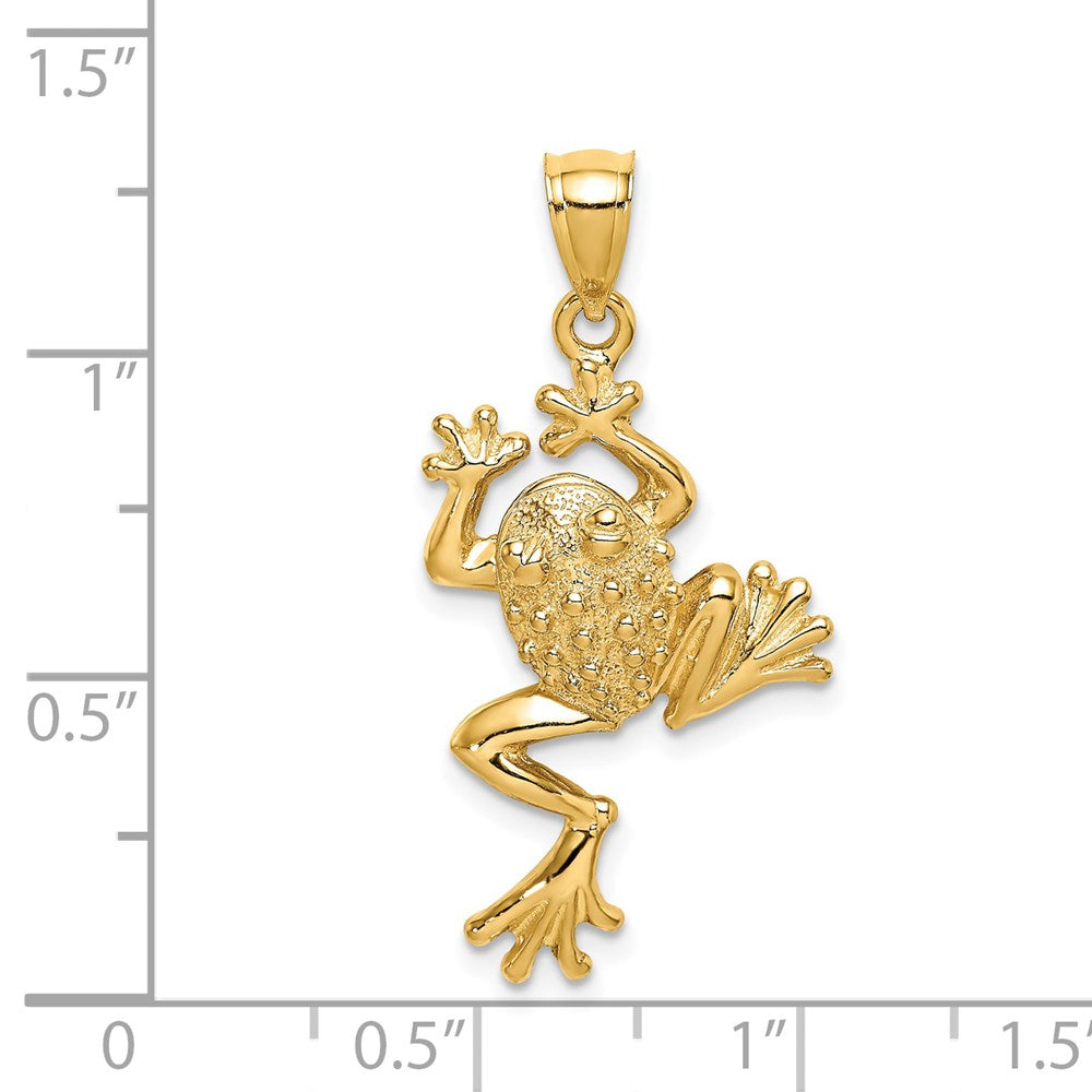 14k Yellow Gold Frog w/ Textured Back Charm