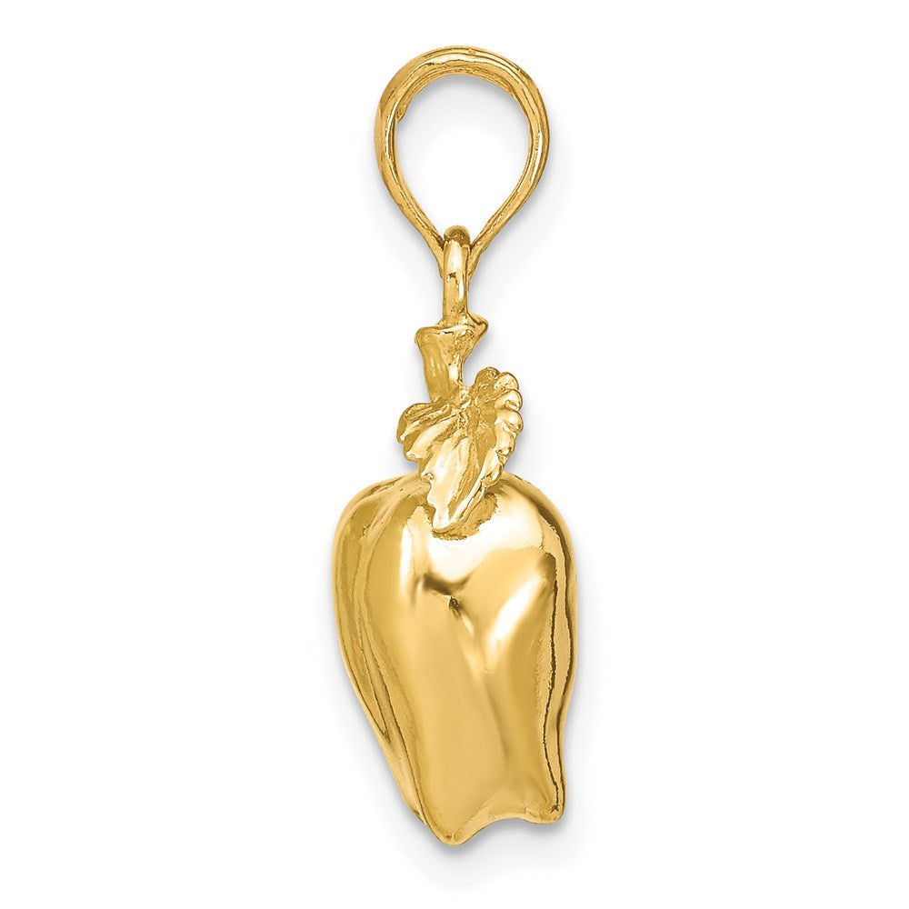 14k Yellow Gold 3-D Apple W/ Stem and Leaf Charm