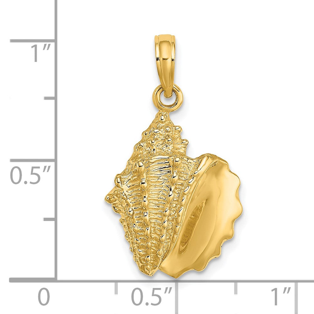 14k Yellow Gold Conch Shell Charm