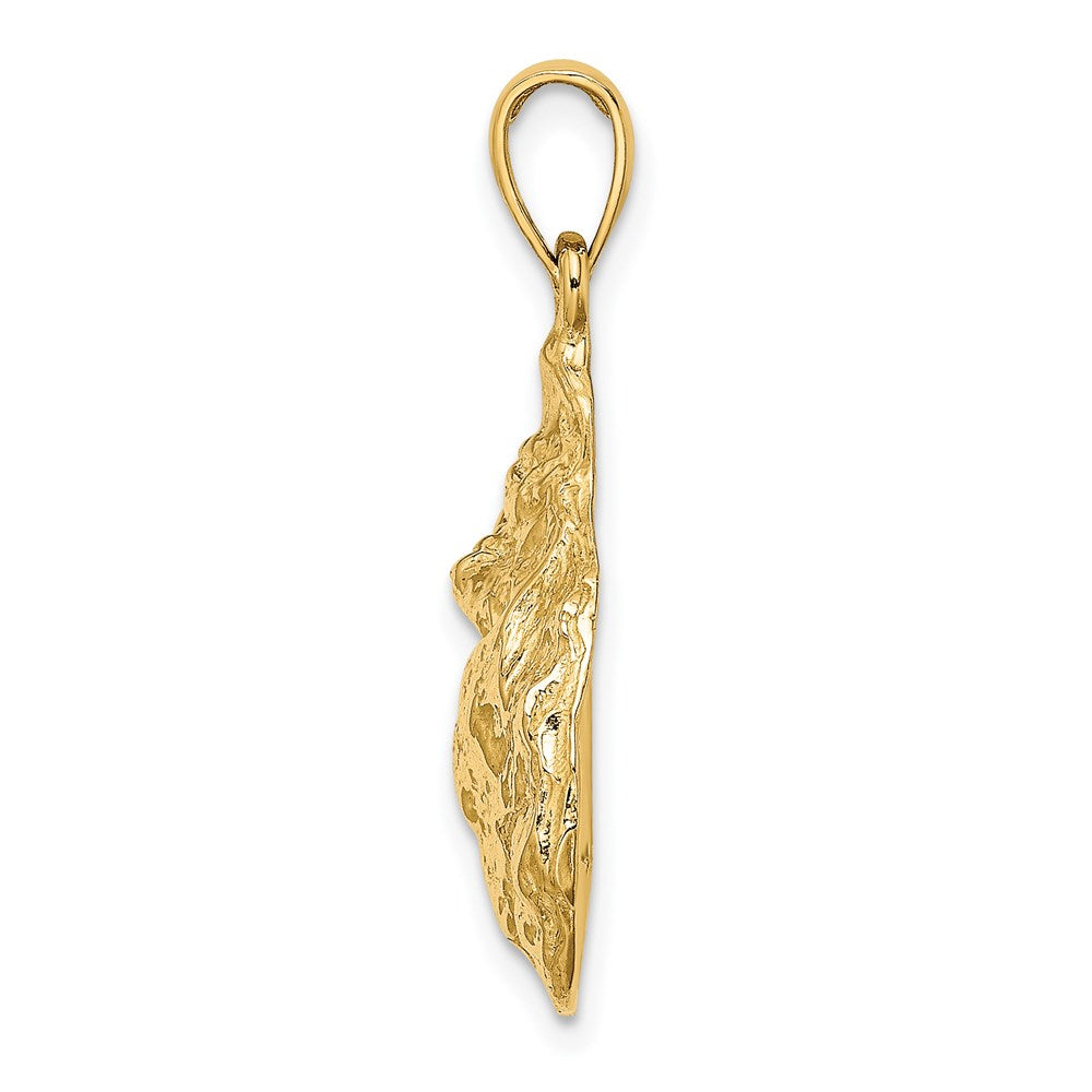 14k Yellow Gold Textured and Polished Oyster Shell Charm