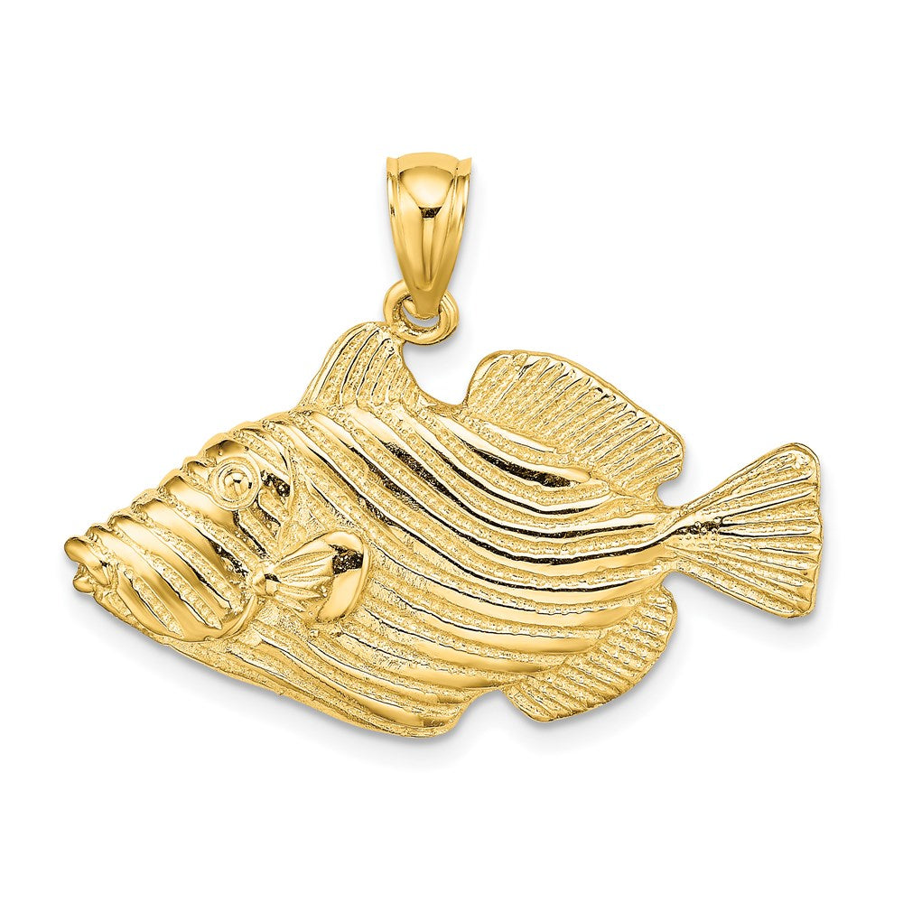 14k Yellow Gold Polished /Engraved Striped Fish Charm