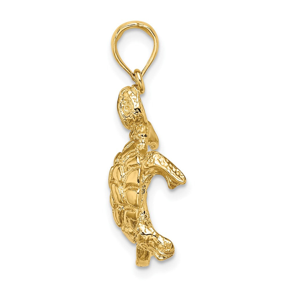 14k Yellow Gold Polished and Textured Turtle Charm