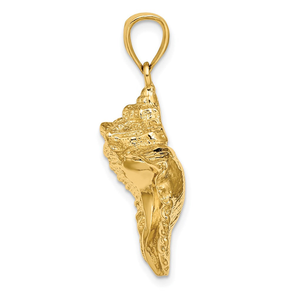 14k Yellow Gold Textured Conch Shell Charm