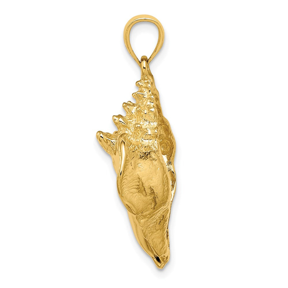 14k Yellow Gold Conch Shell Charm