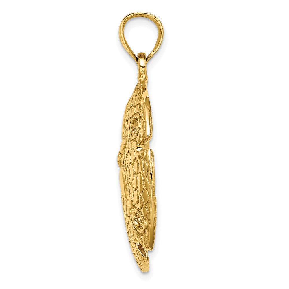 14k Yellow Gold Polished and Textured Large Sand Dallar Charm