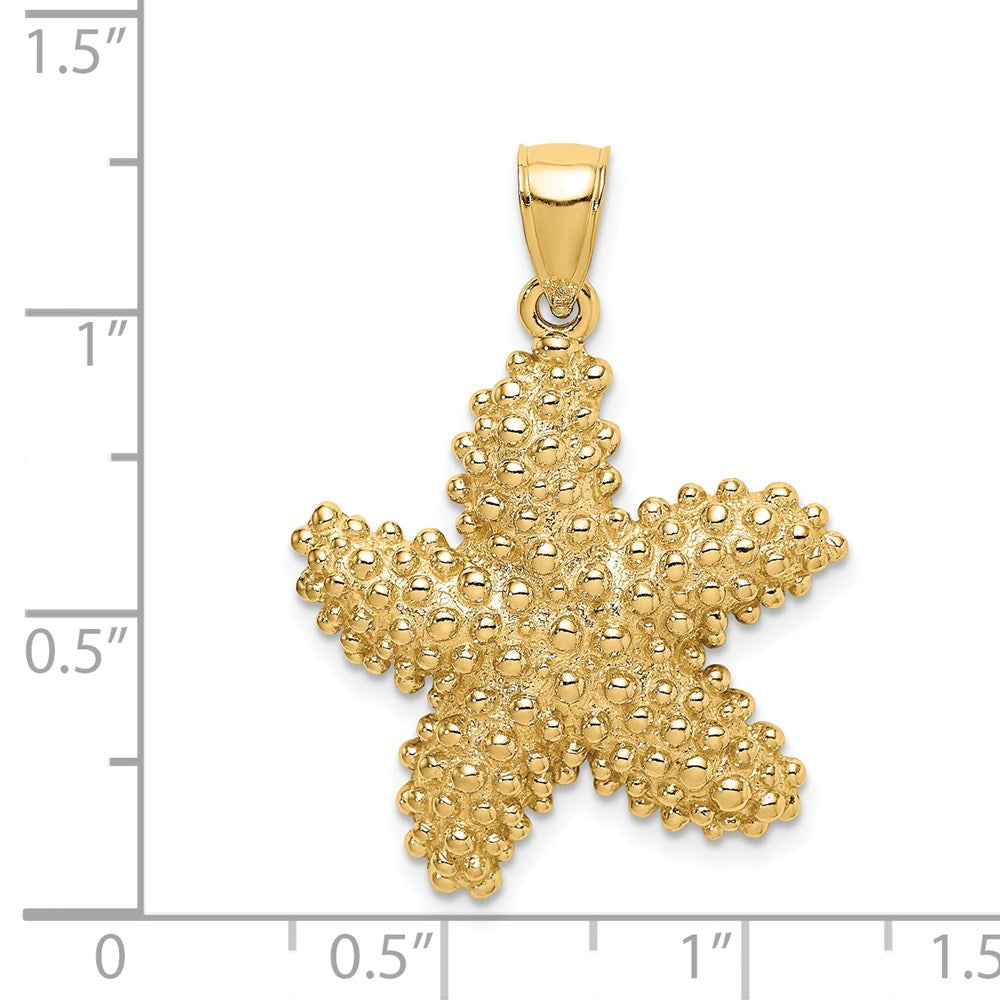 14k Yellow Gold Textured Starfish Charm