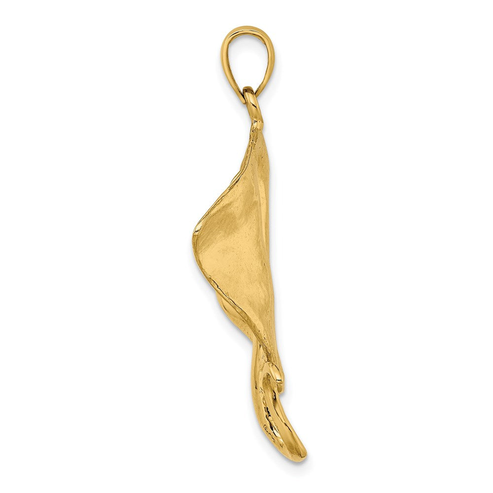 14k Yellow Gold Polished Stingray Charm