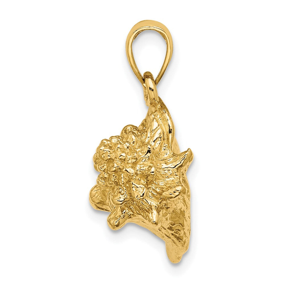 14k Yellow Gold 3-D Conch Shell Charm