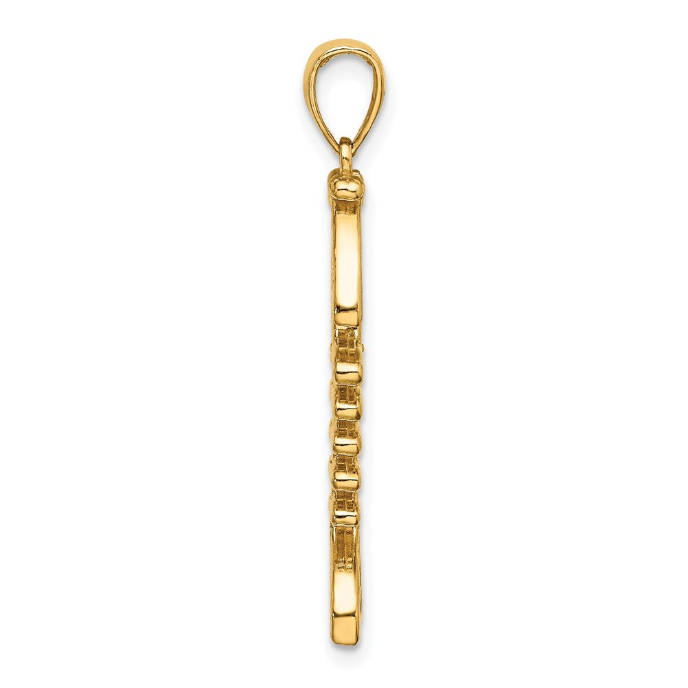 14k Yellow Gold 3-D Polished/ Textured Fishbone Charm