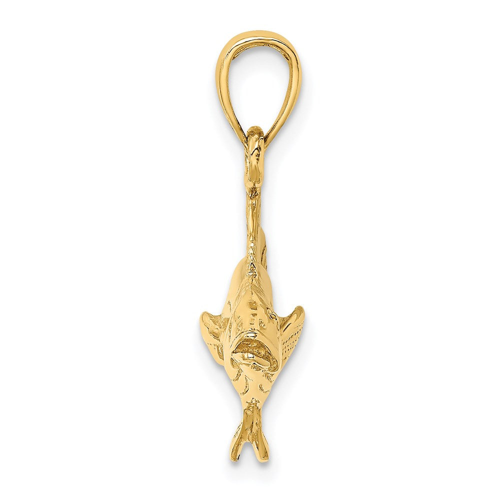 14k Yellow Gold 3-D Polished Cobia Fish Charm