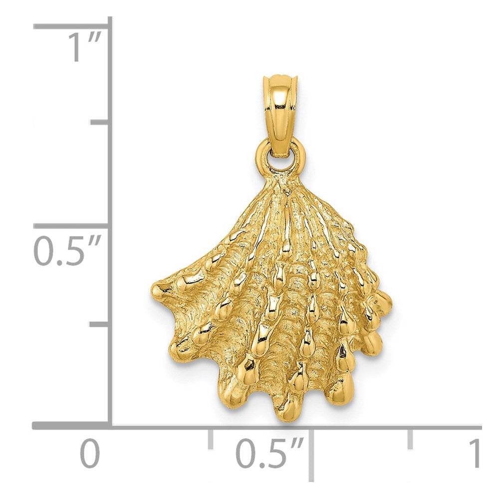 14k Yellow Gold Spiney Jewel Box Shell Charm