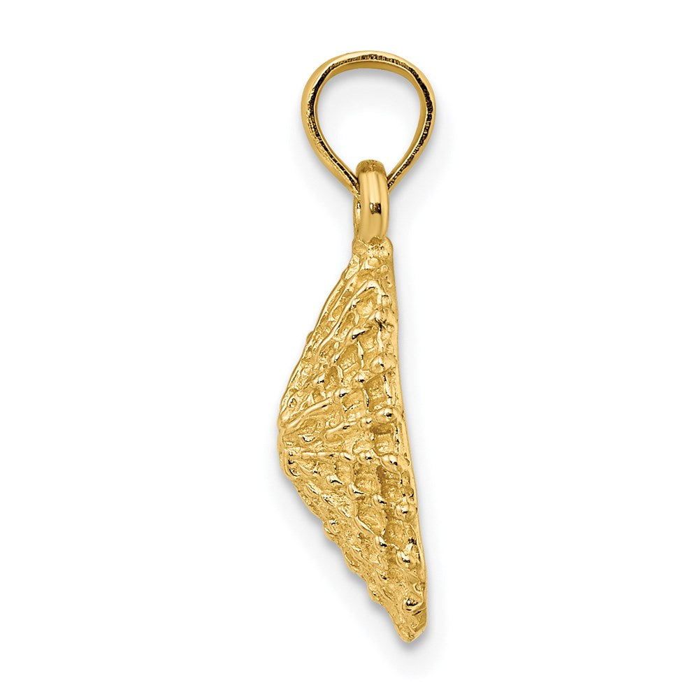 14k Yellow Gold Textured Limpet Shell Charm