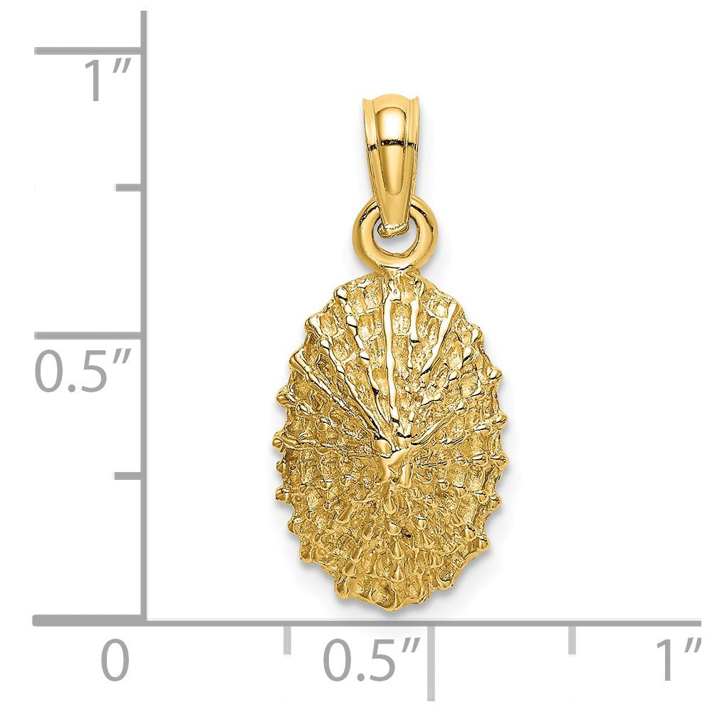 14k Yellow Gold Textured Limpet Shell Charm