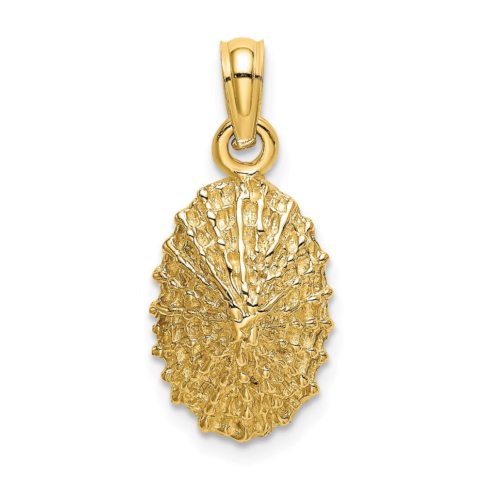 14k Yellow Gold Textured Limpet Shell Charm