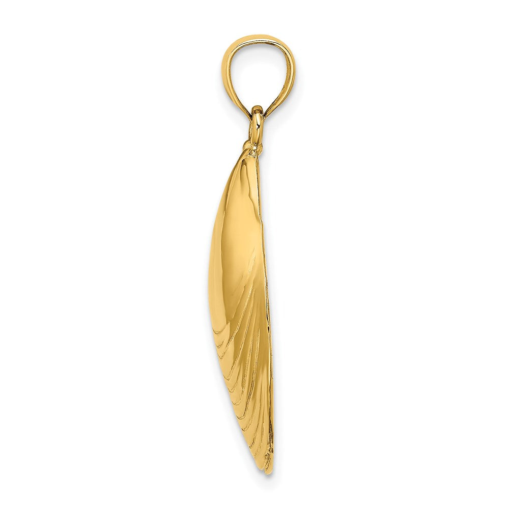 14k Yellow Gold Polished Mussel Shell Charm