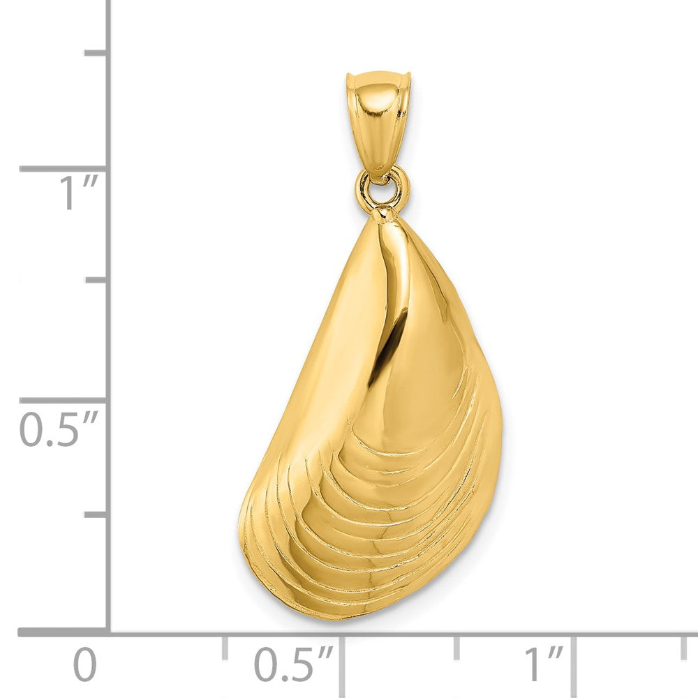 14k Yellow Gold Polished Mussel Shell Charm