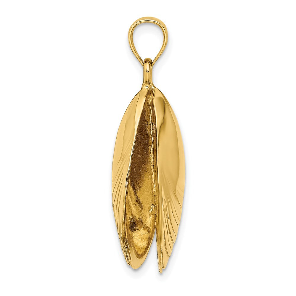 14k Yellow Gold 3-D Polished Mussel Shell Charm