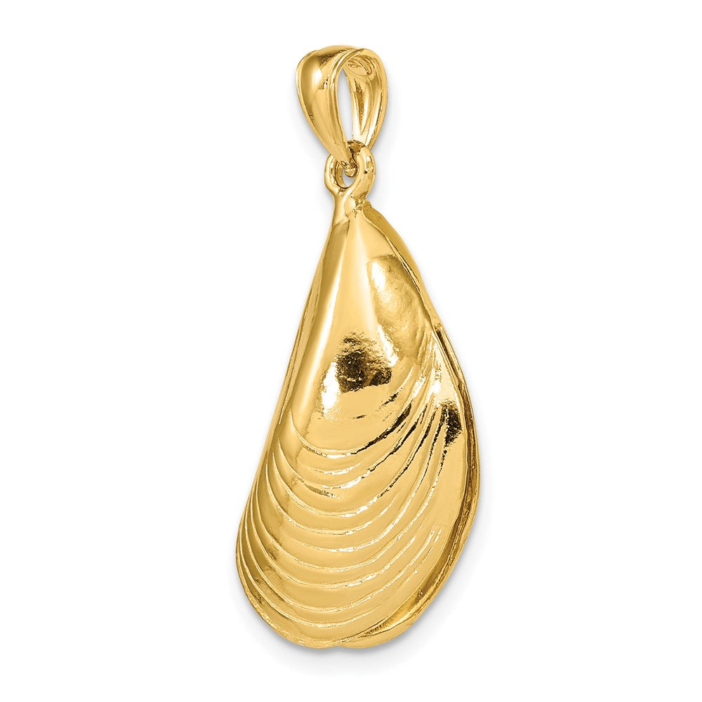 14k Yellow Gold 3-D Polished Mussel Shell Charm