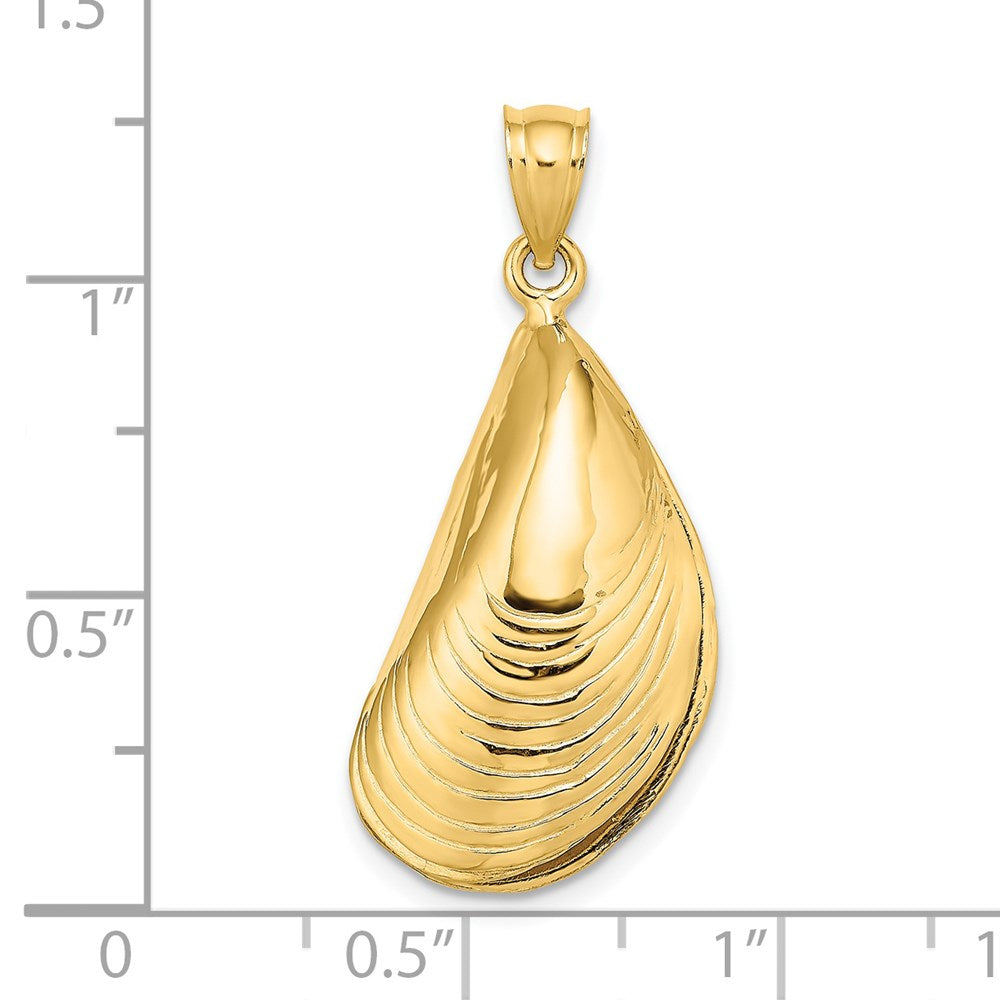 14k Yellow Gold 3-D Polished Mussel Shell Charm