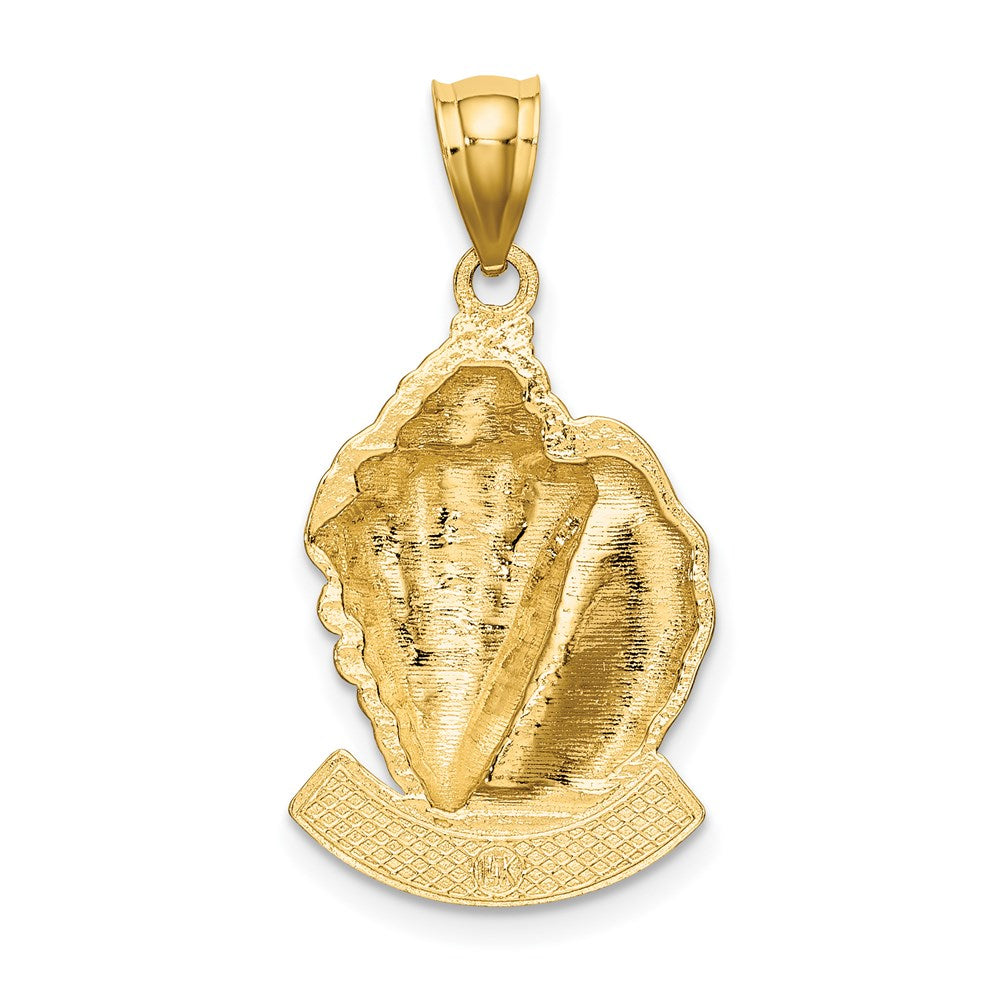 14k Yellow Gold AVALON Conch Shell Charm