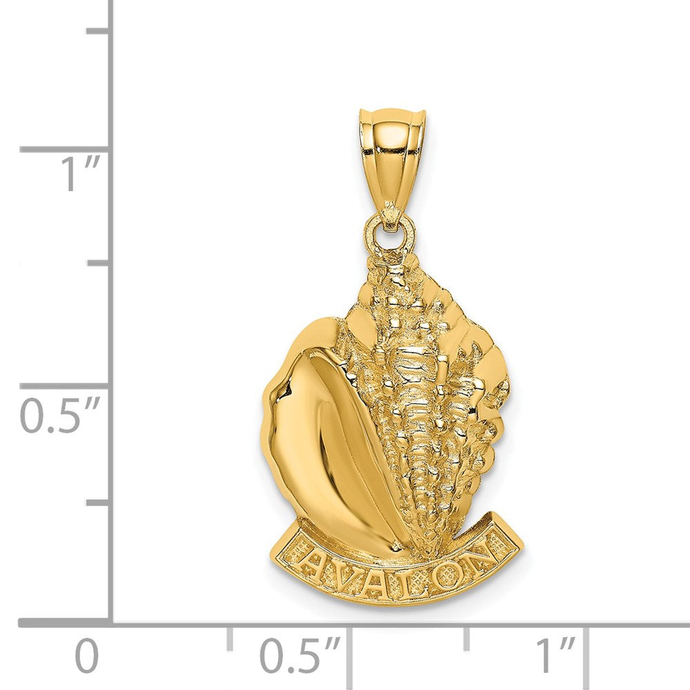 14k Yellow Gold AVALON Conch Shell Charm