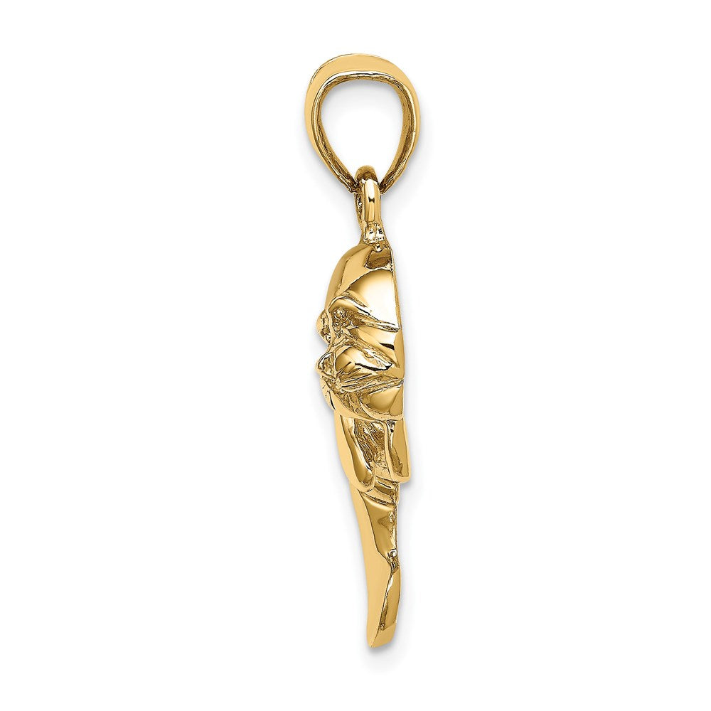 14k Yellow Gold 2-D Polished Manatee Charm