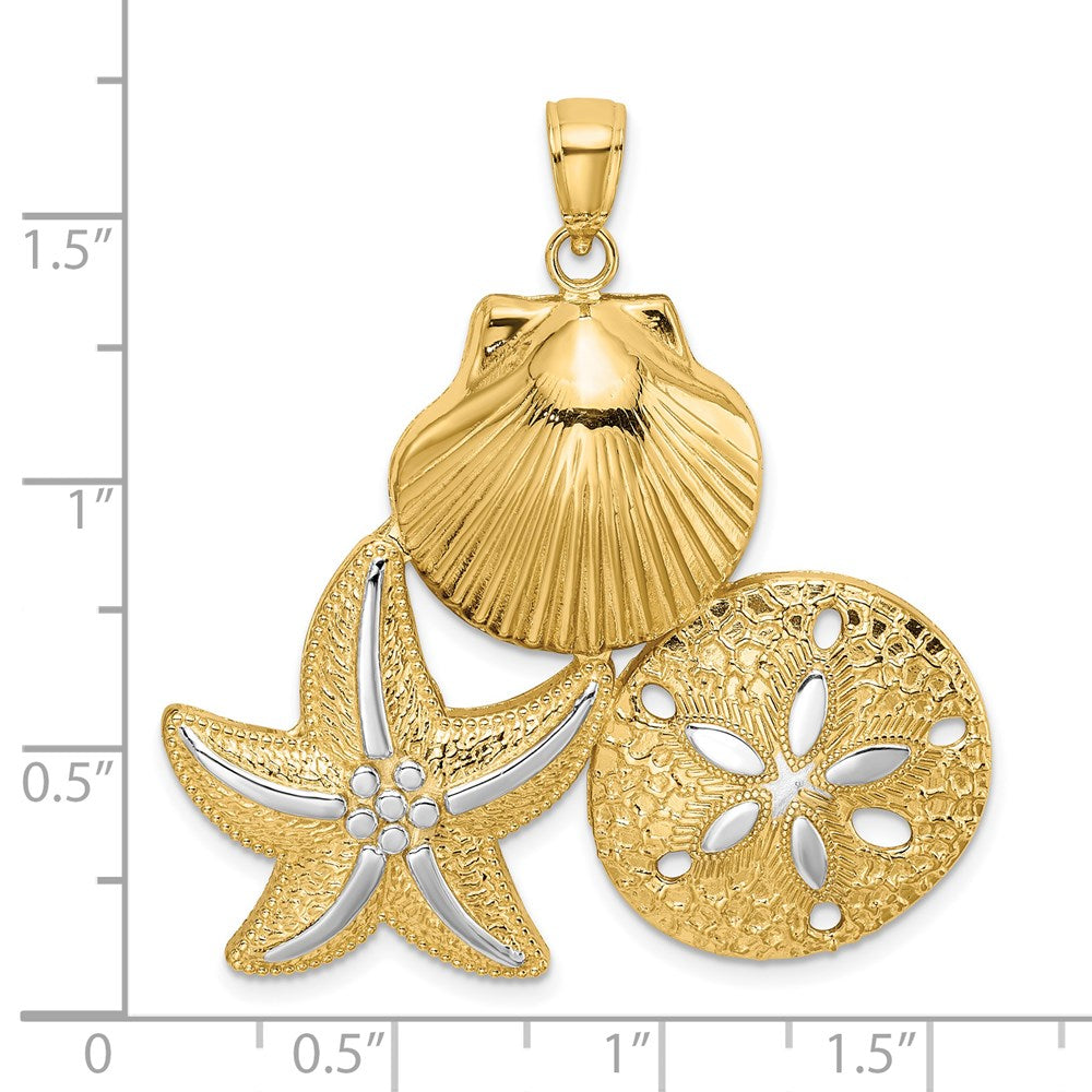 14k Yellow & Rhodium Gold with White Rhodium Scallop Starfish and Sand Dollar Charm