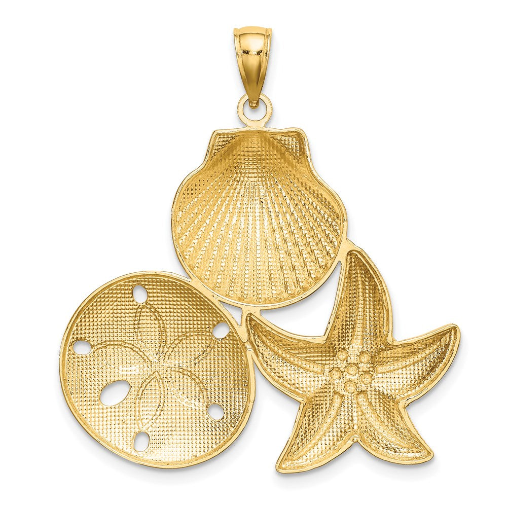 14k Yellow & Rhodium Gold with White Rhodium Diamond-cut Scallop Starfish Sand Dollar Charm