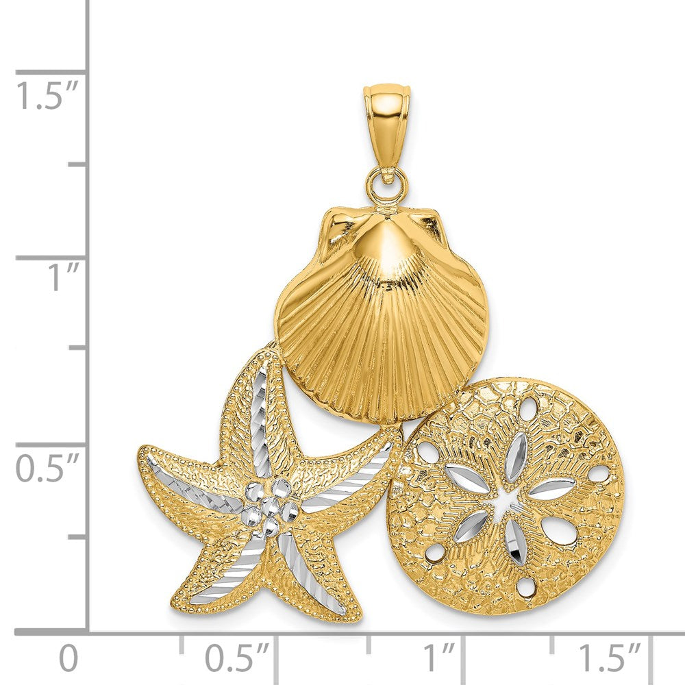 14k Yellow & Rhodium Gold with White Rhodium Diamond-cut Scallop Starfish Sand Dollar Charm