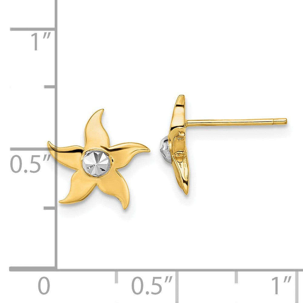 14k Yellow & Rhodium Gold w/Rhodium Starfish Post Earrings