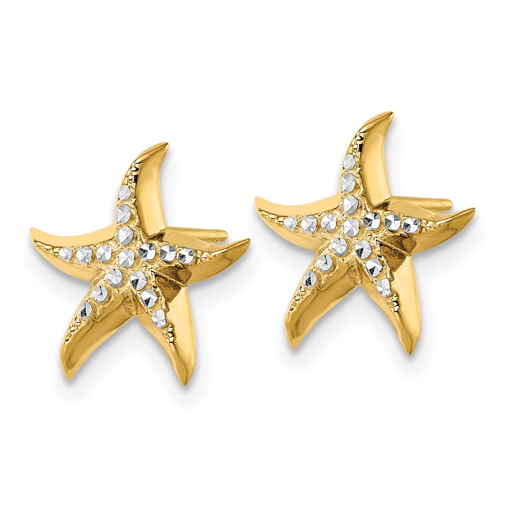 14k Yellow & Rhodium Gold w/Rhodium Starfish Post Earrings