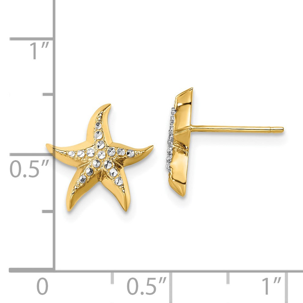 14k Yellow & Rhodium Gold w/Rhodium Starfish Post Earrings