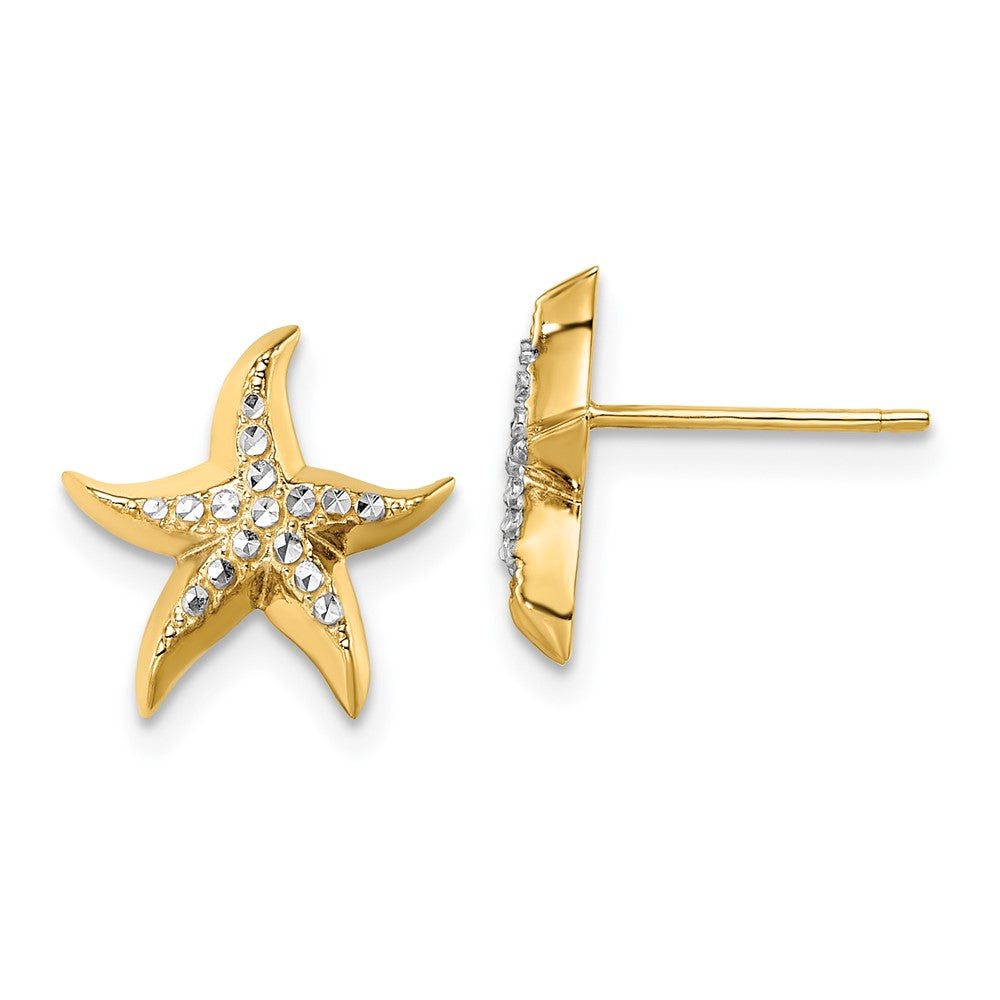 14k Yellow & Rhodium Gold w/Rhodium Starfish Post Earrings