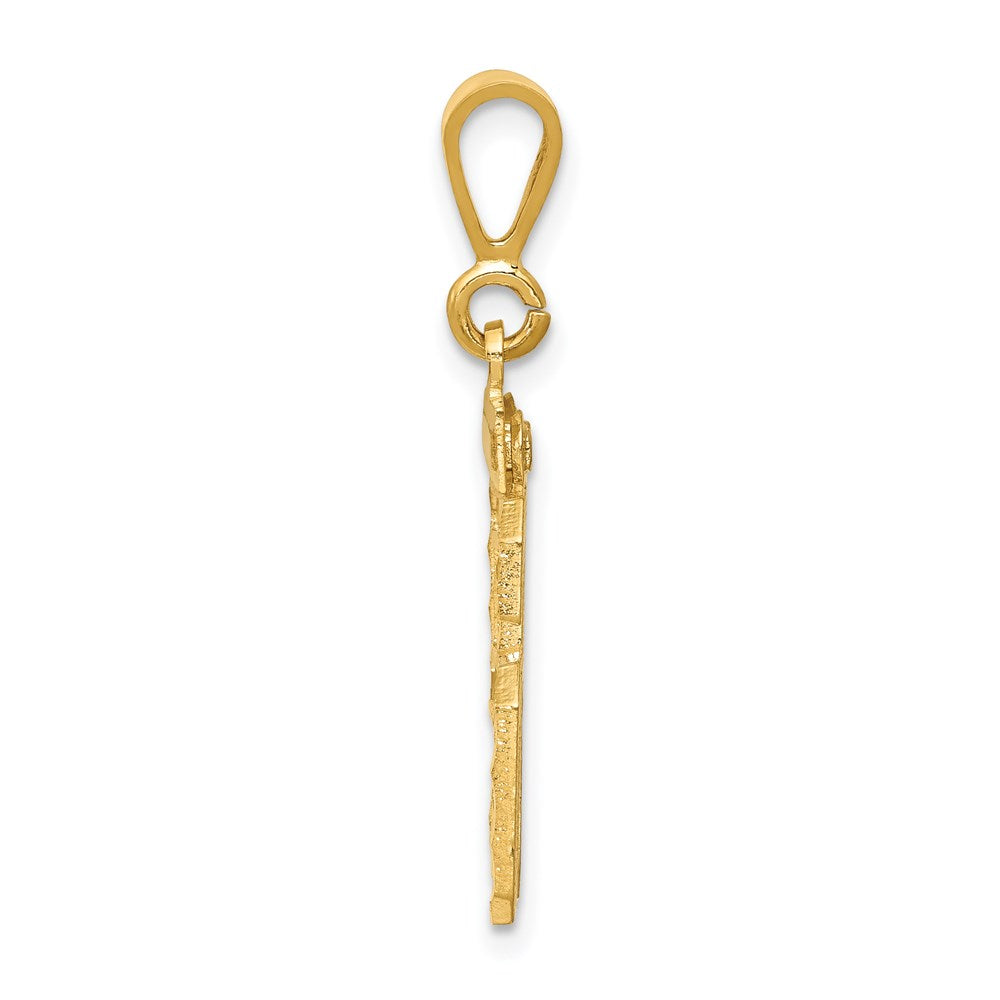 14k Yellow Gold Large Brushed Diamond-cut Number 96 Charm