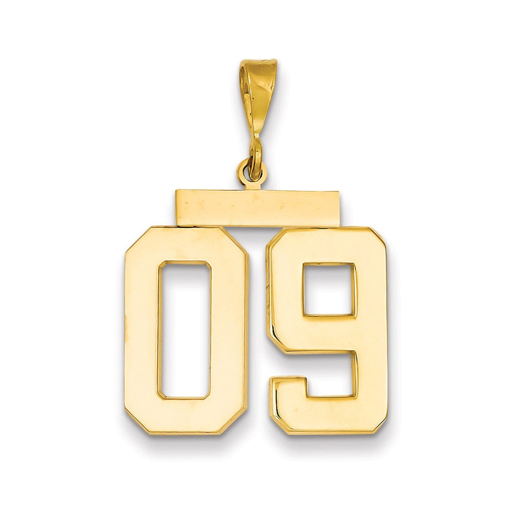 14k Yellow Gold Large Polished Number 09 on Top Charm