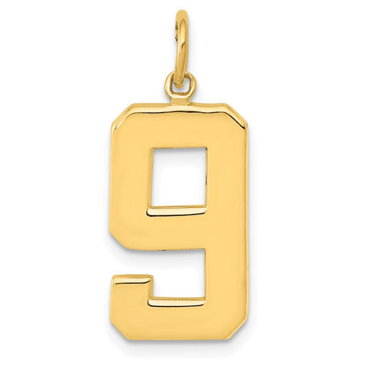 14k Yellow Gold  Large Polished Number 9 Charm