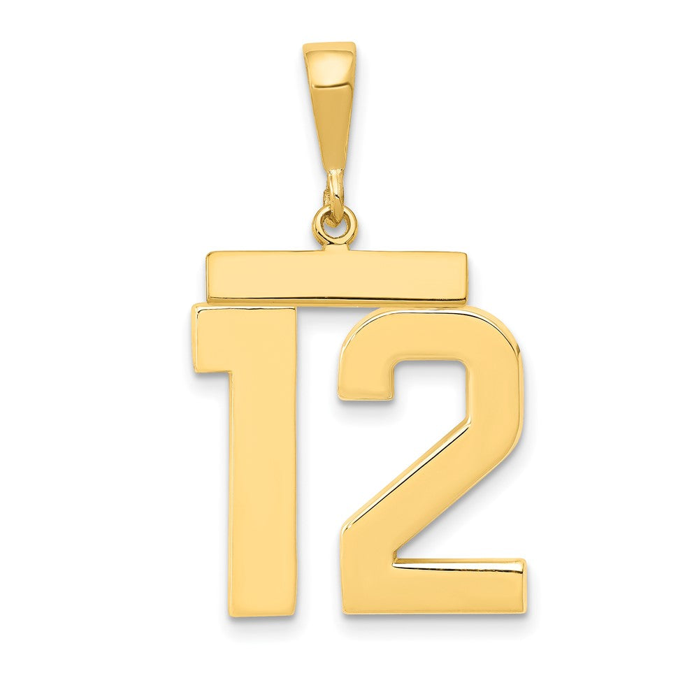 14k Yellow Gold Large Polished Number 12 Charm