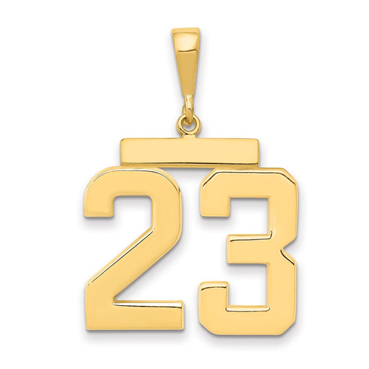 14k Yellow Gold Large Polished Number 23 Charm